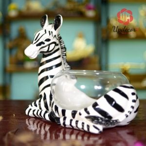 Bể Cá Để Bàn Mini Ngựa Vằn Trang Trí Nội Thất, Decor Nhà Cửa