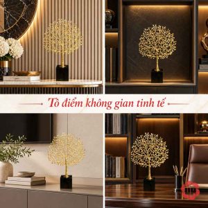 Ảnh ghép cây phú quý trên bàn và trong ô kệ