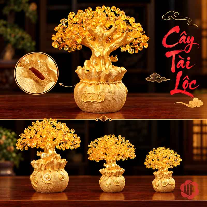 Cây Tiền Vàng Tài Lộc, Tán Hạt Vàng Treo Đồng Xu UPV001 Ảnh ghép cây tài lộc chậu túi cùng ba dáng cây và chi tiết khe trên chậu