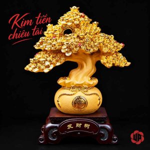 Cây tiền vàng tán tầng, thân uốn trên chậu tròn và đế trầm