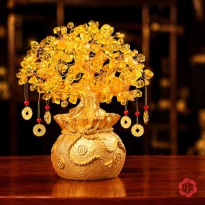 Cây tiền vàng tán hạt trong trên chậu túi tròn, bày trên mặt gỗ
