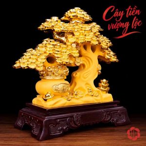 Cây tiền vàng nhìn chếch với thân vàng và đế màu trầm