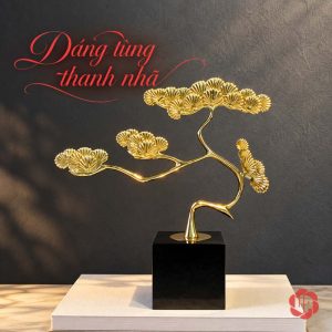 Tùng vàng với tán vươn ngang trước tường tối