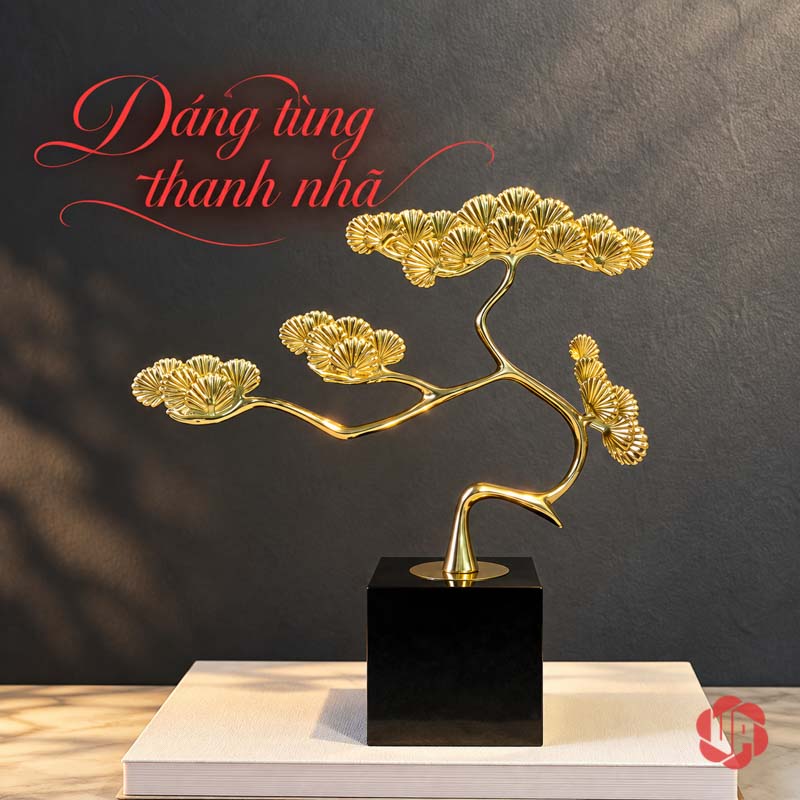 Cây Để Bàn Làm Việc Tùng Đồng Trên Đá UP067V Tùng vàng với tán vươn ngang trước tường tối