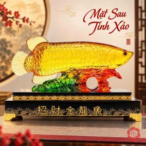 Mặt sau cá rồng vàng với sóng xanh đỏ phía dưới