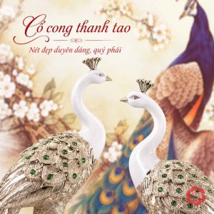 Cận cảnh đầu, mào và cổ trắng của hai tượng chim công, thân ánh vàng có điểm xanh